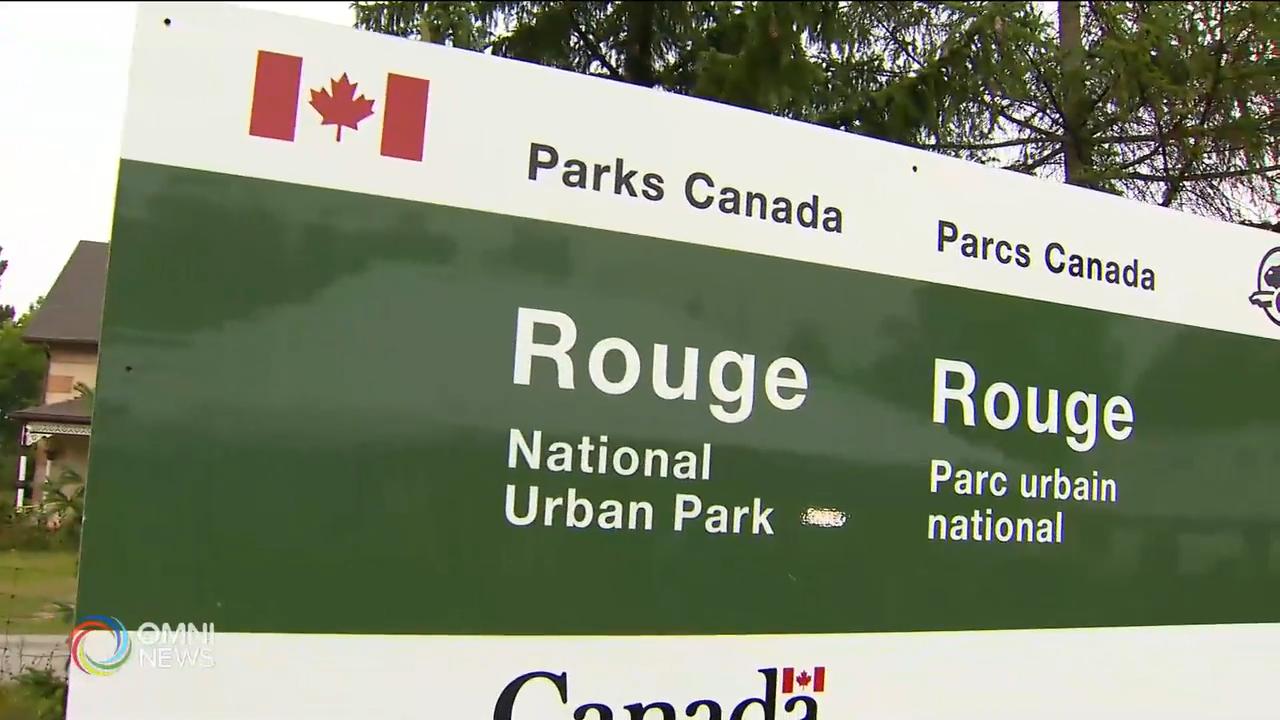 興建紅河國家公園游客中心 -- Aug 27, 2019 (ON)