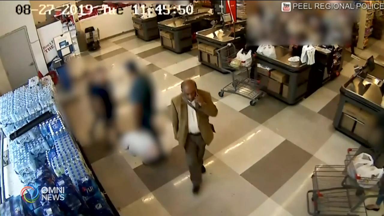 Police search for suspect in Mississauga sex assault