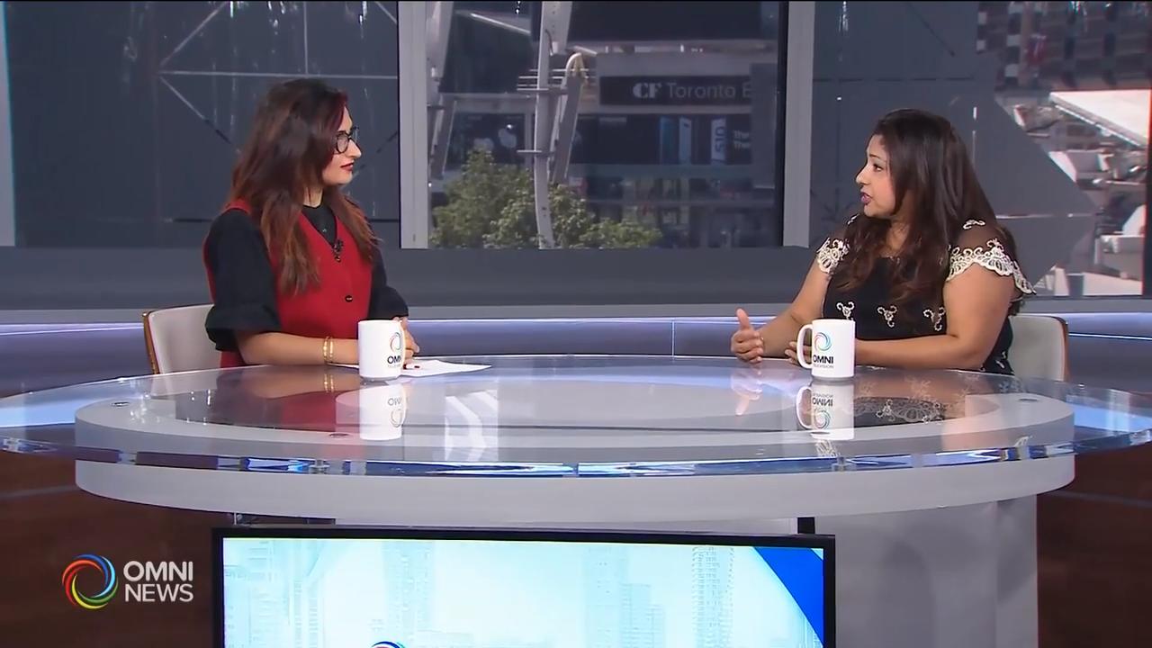 Previewing Panorama India Day Festival & Grand Parade