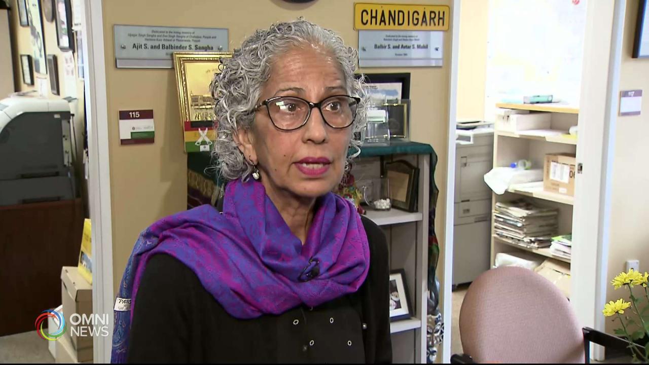 SASI South Asian Gang Violence Report