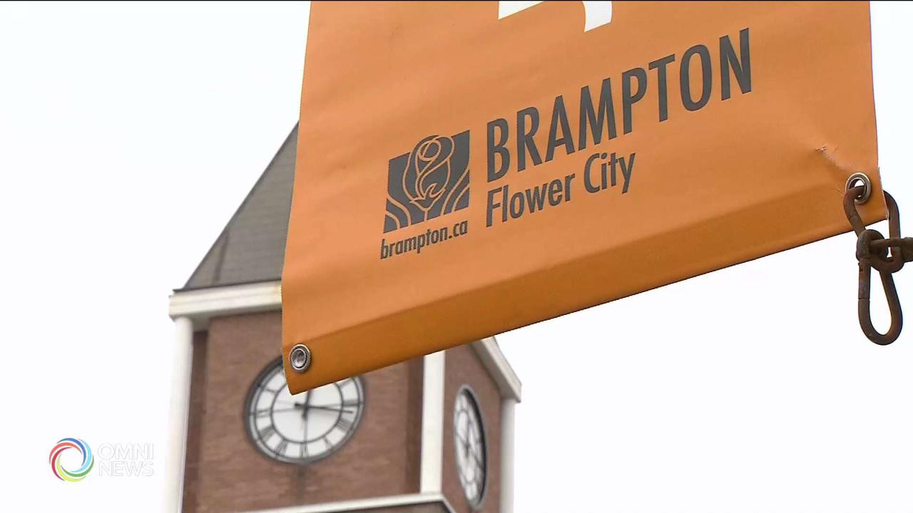 ਆਪਣੇ Brampton Centre ਦੇ ਉਮੀਦਵਾਰਾਂ ਨੂੰ ਮਿਲੋ