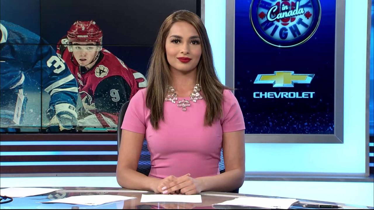 Shaila Mehta Profile - Punjabi Version