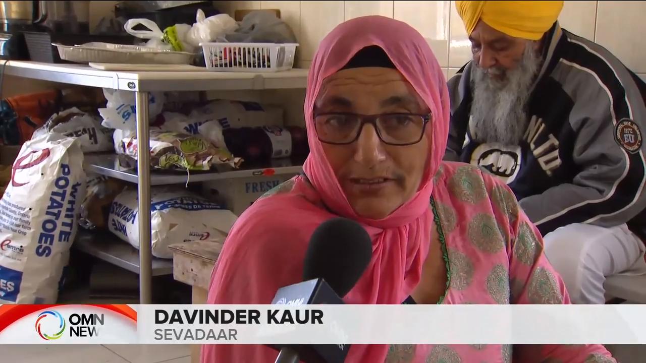 Seva on the 550th Gurpurab