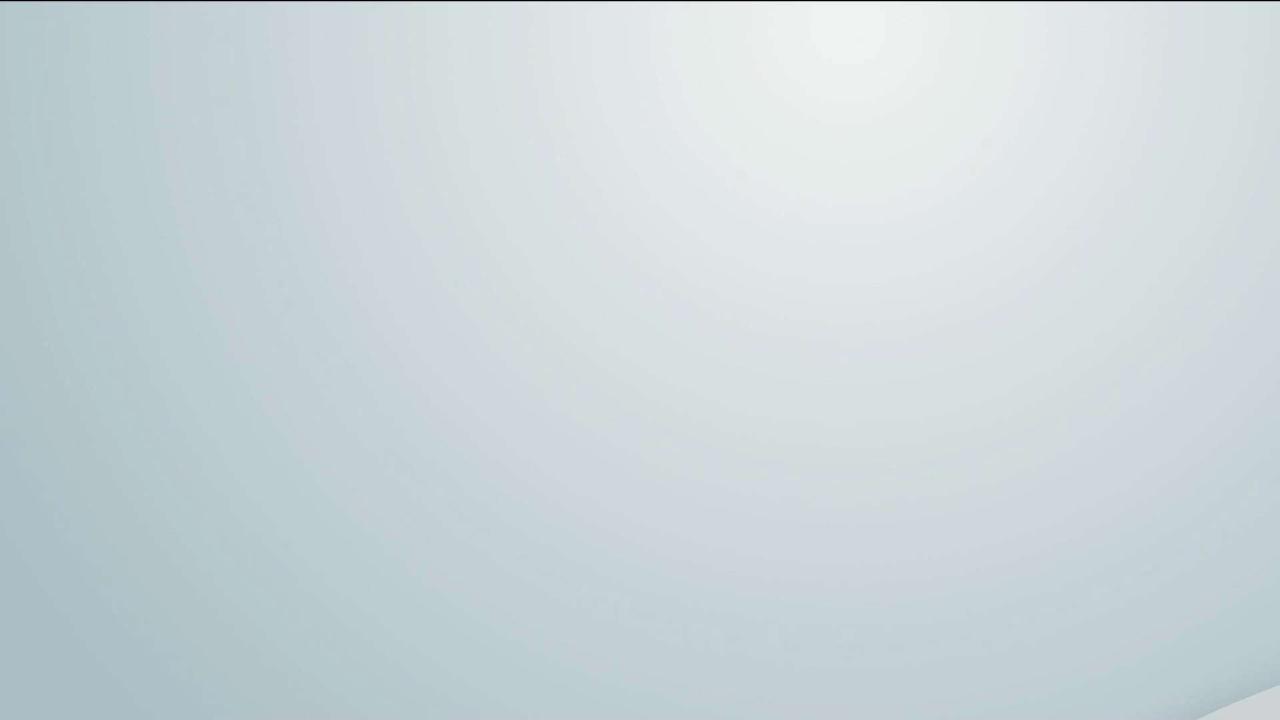 Diverse events by Progressive Paskistani Canadians