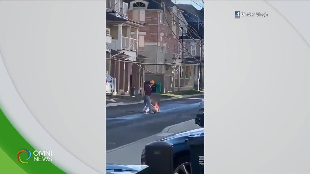 Video: domestic abuse in Brampton