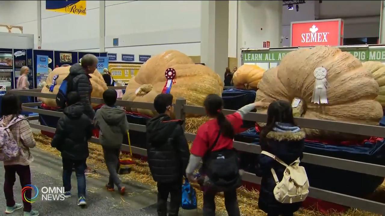 農業博覽會揭幕 -- Nov 01, 2019 (ON)