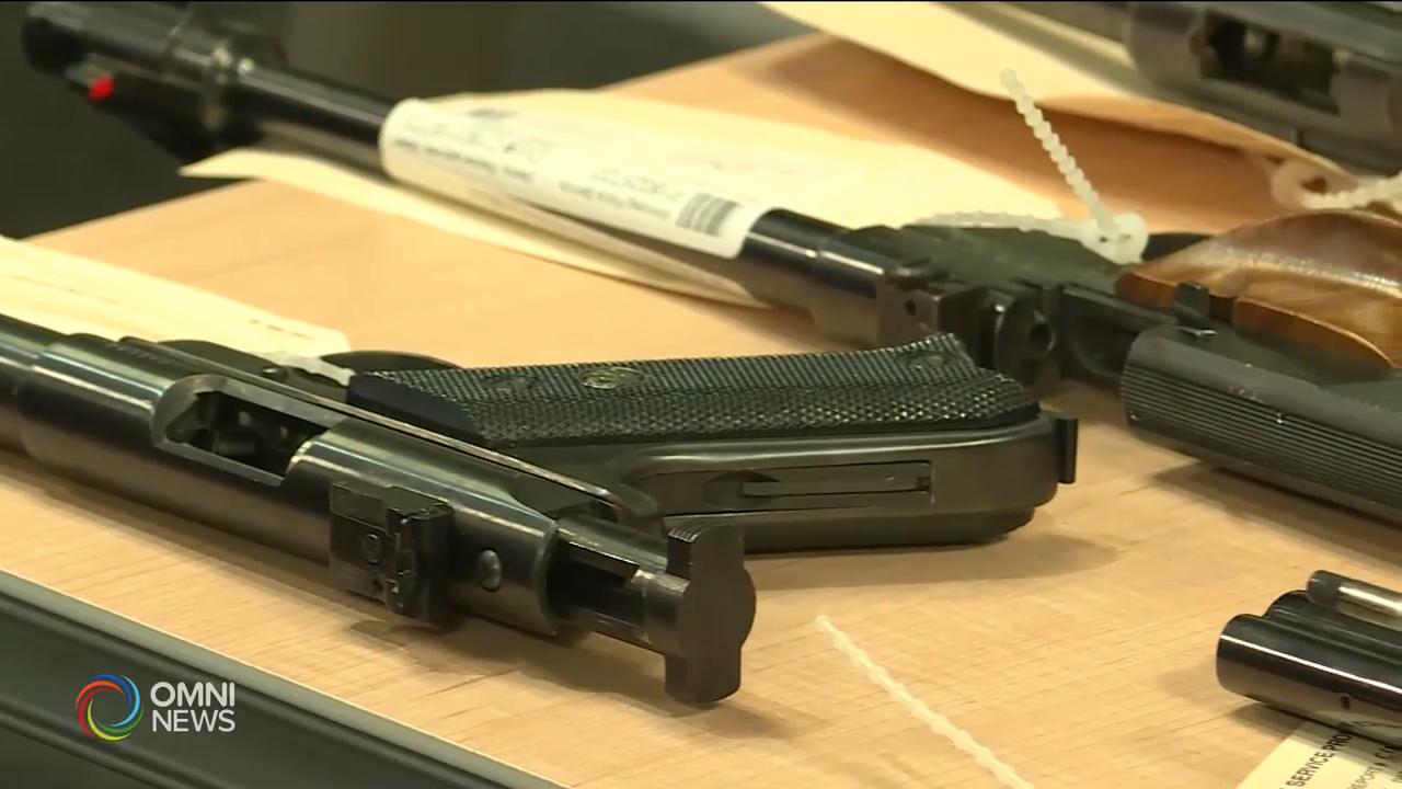 多倫多關注團體，呼籲渥太華禁制槍械 -- Nov 12, 2019 (ON)