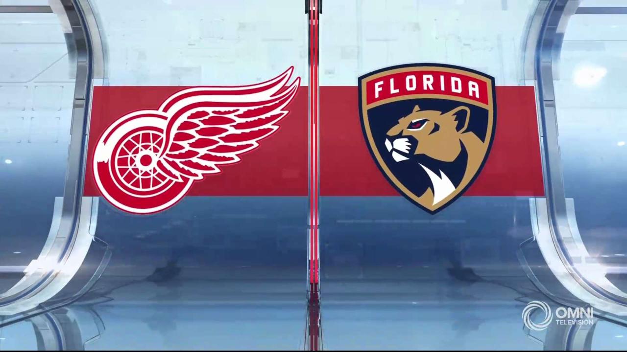 HIGHLIGHTS | Red Wings vs. Panthers - Dec 28 2019