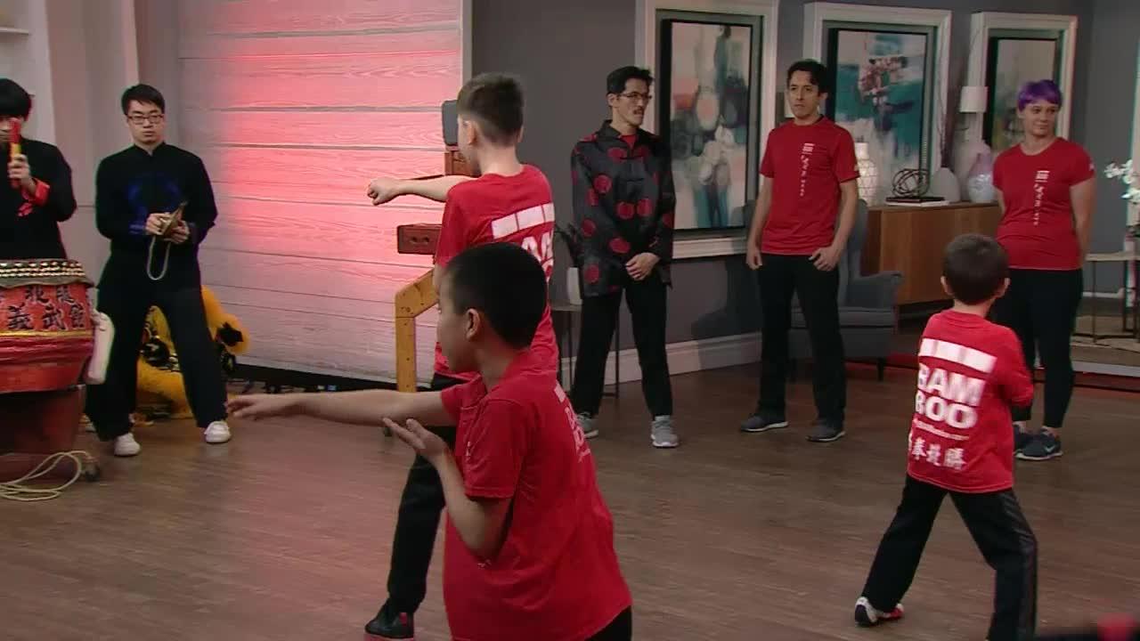 Part 2 - 第二节：南拳北胜 - 史坚源功夫健身馆功夫表演