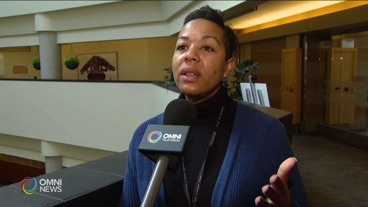 Brampton looks to add more speed radar cameras