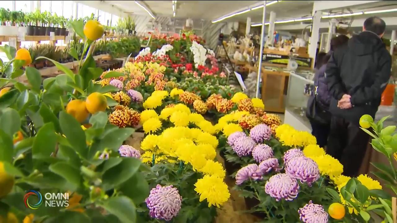 消費者今年的年花預算有所縮減 -- Jan 24, 2020 (ON)