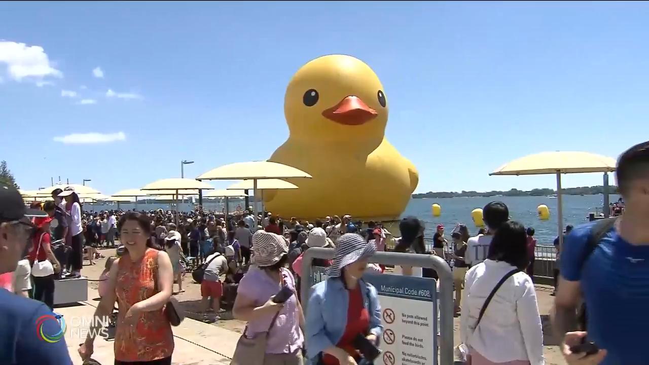 巨型黃色膠鴨今年夏天將會重臨多倫多 -- Jan 13, 2020 (ON)