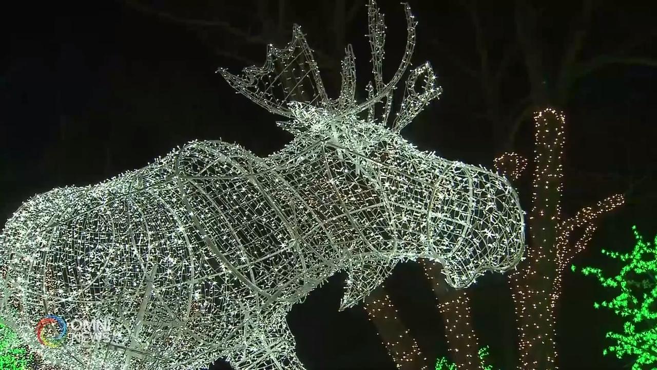 多伦多旅游局推出 “耀眼周末 ”冬季旅游项目  － Jan 08, 2020