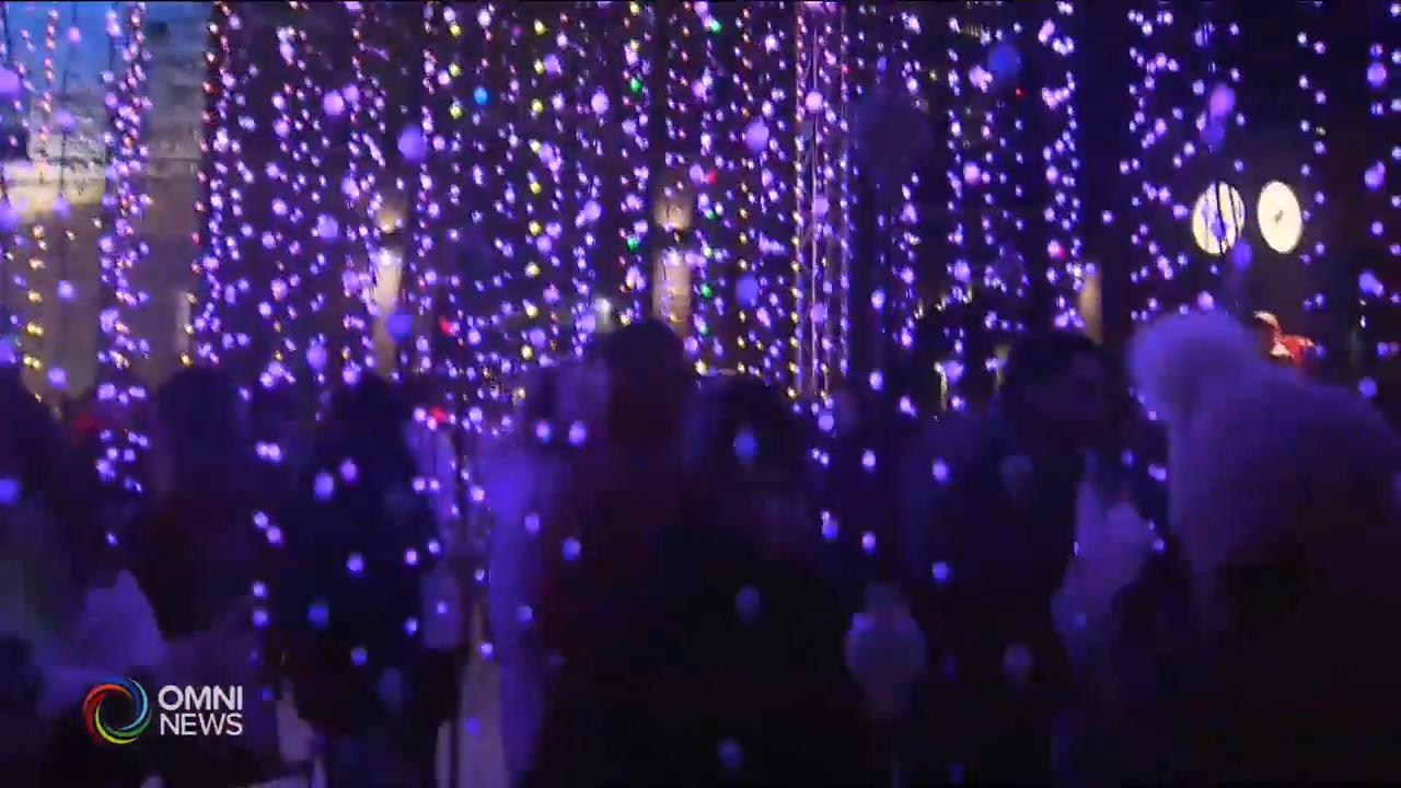 一年一度的多倫多彩燈節 -- Jan 23, 2020 (ON)