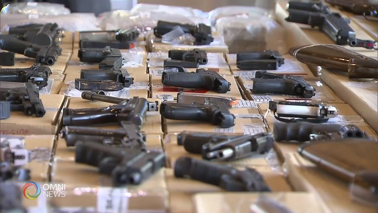 大多倫多地區市長聯署，促請渥太華正視槍械罪案 - Jan 28, 2020 (ON)