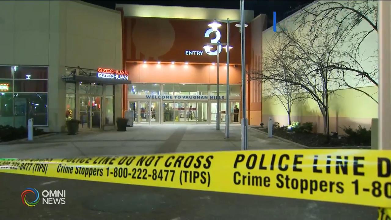 Vaughan Mills商場外打鬥傷人案 -- Jan 03, 2020 (ON)