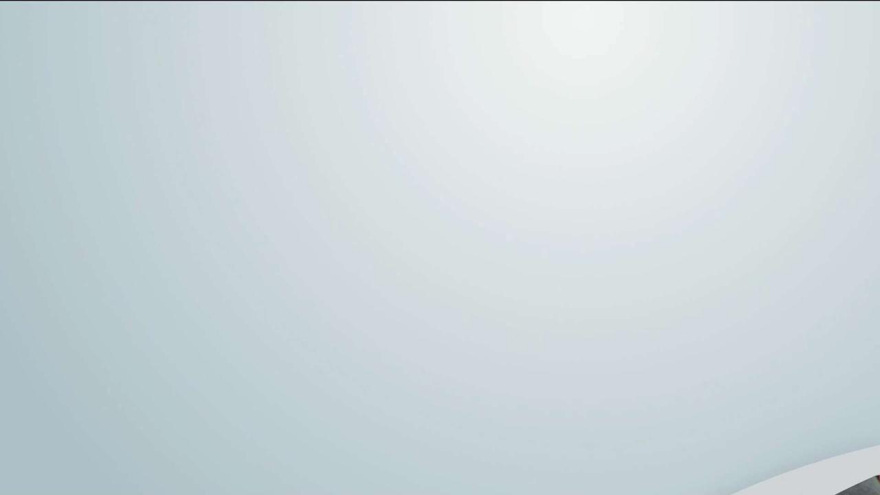 Panorama India Idol 2020