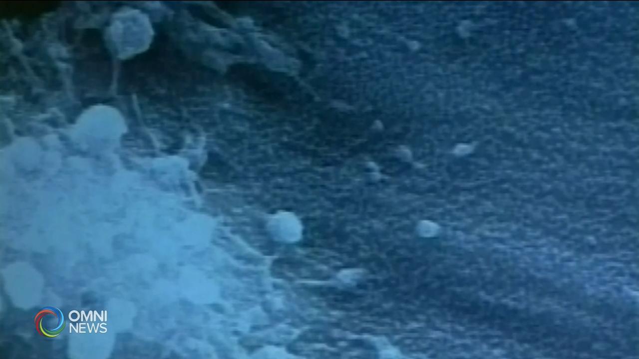 安省新冠病毒確診個案減至2宗 -- Feb 12,, 2020 (ON)