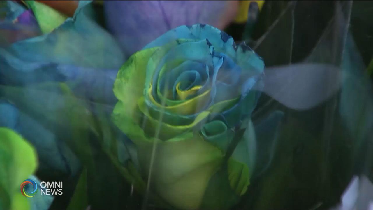 情人節消費並未受新冠肺炎疫潮影響 -- Feb 14, 2020 (ON)