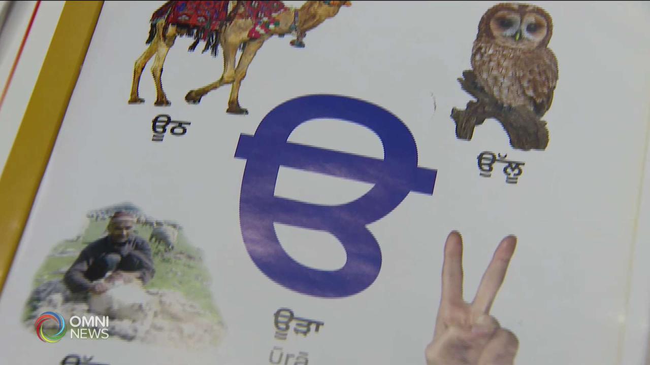 International Language Day