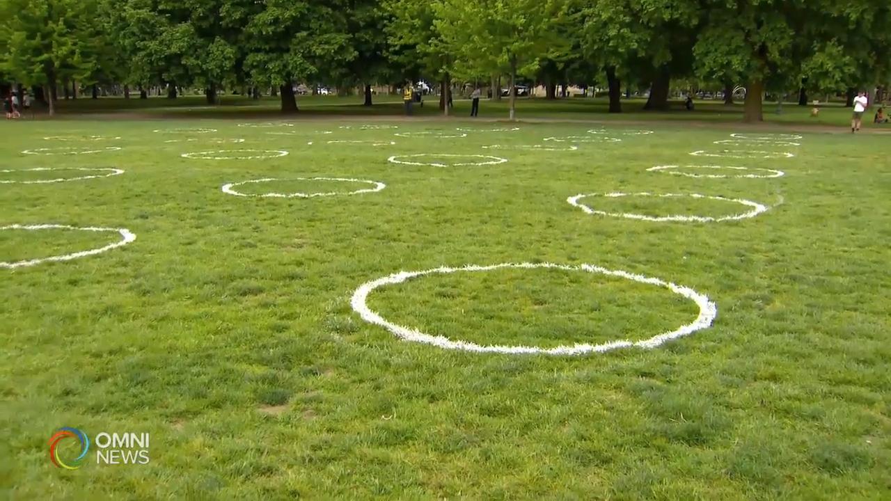 公園草坪畫白色圓圈保持社交距離 -- May 28, 2020 (ON)