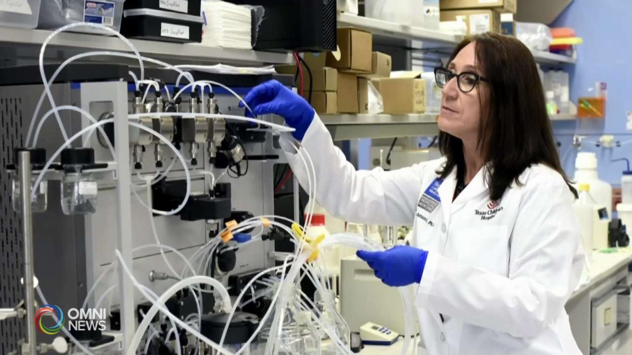 Studio per trovare una cura contro il COVID19, intervista con la Professoressa Maria Elena Bottazzi, virologa e microbiologa del Baylor College of Medicine di Houston in Texas