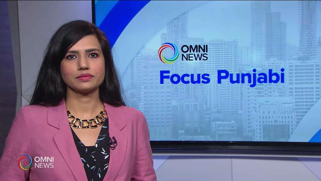 TIFF going online this year?