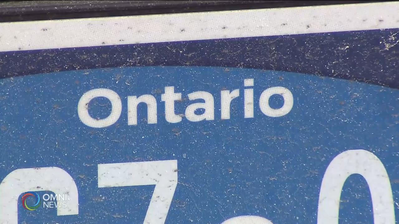 省府决定恢复使用旧款白色车牌－ May 06, 2020