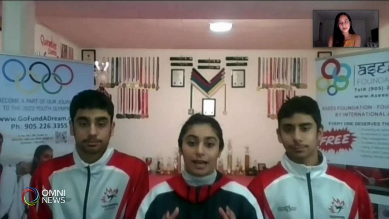 Taekwondo Siblings offer free online classes!