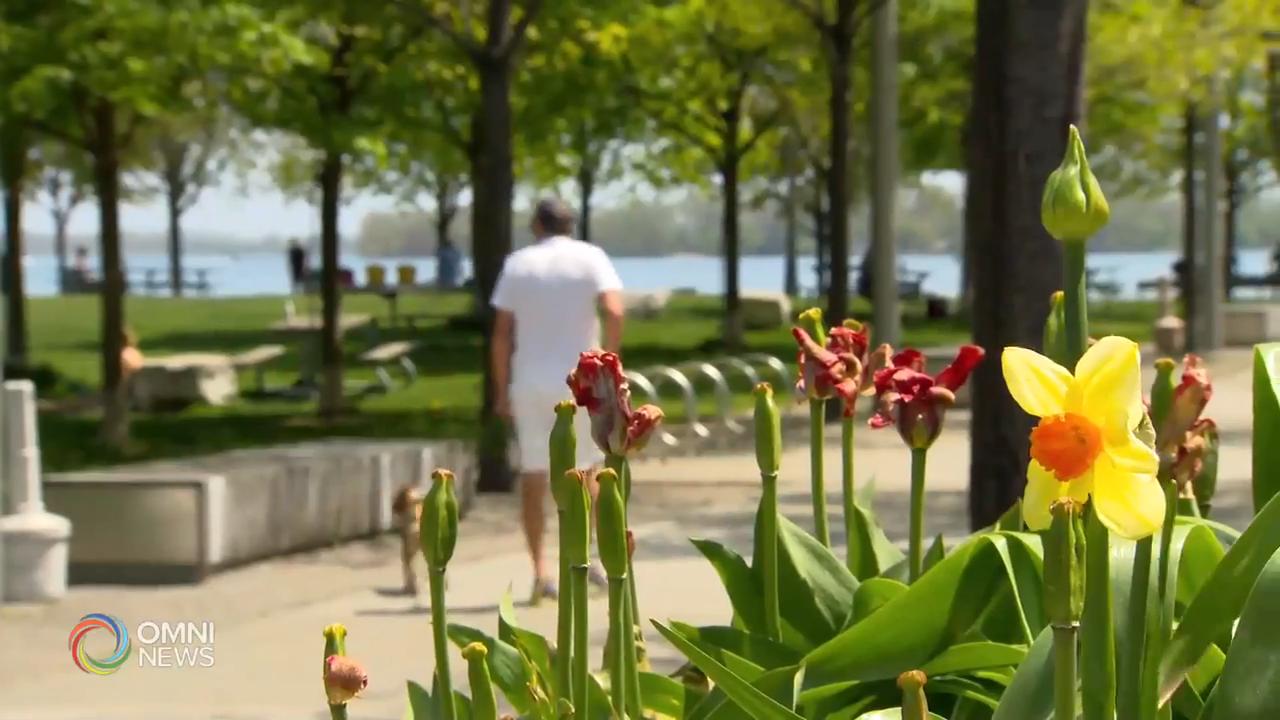 多倫多市今年首個酷熱警報 -- May 25, 2020 (ON)