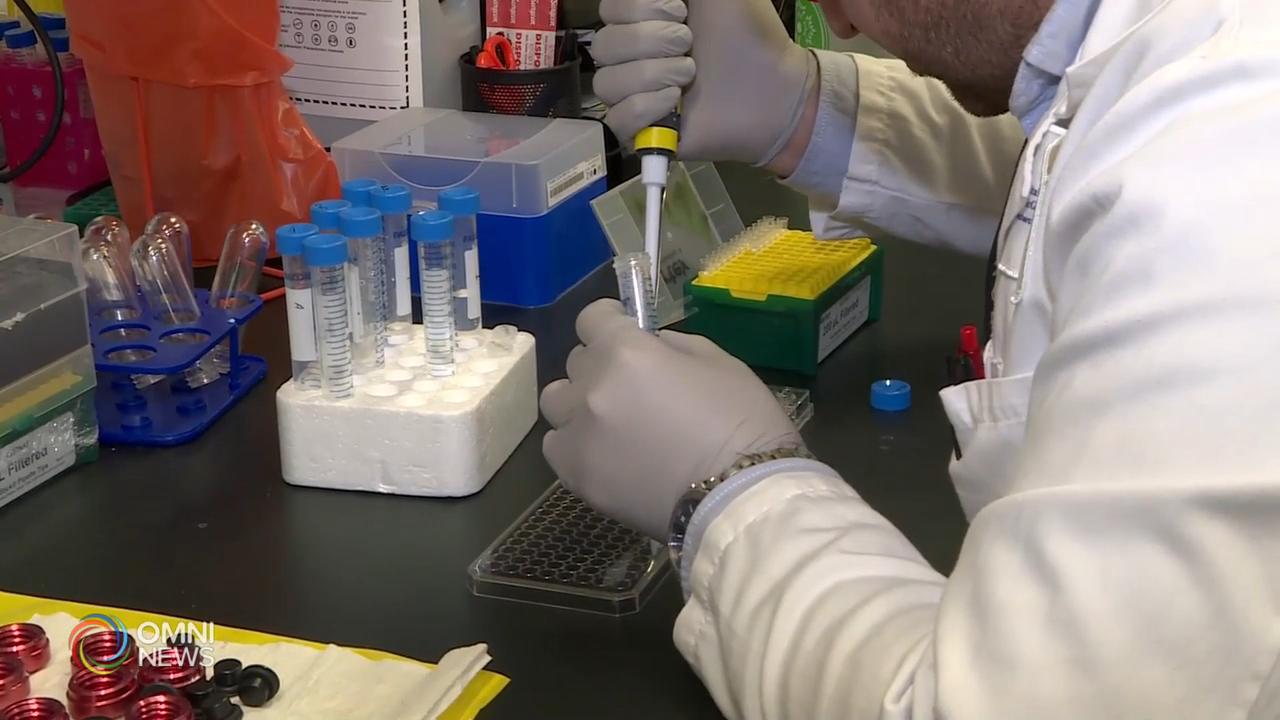 確診數據首次出錯 長週末北上人潮減少 -- May 15, 2020 (ON)