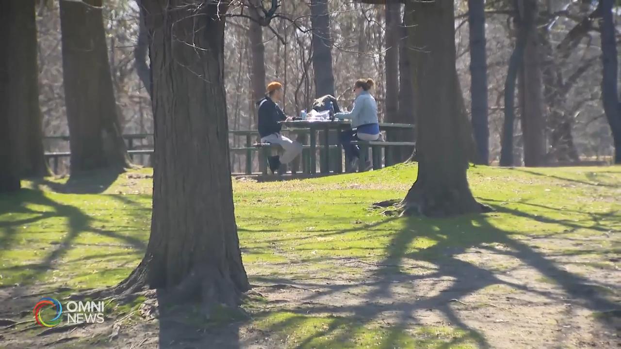 安省新增243宗確診個案 3月底以來最少 -- Jun 08, 2020 (ON)