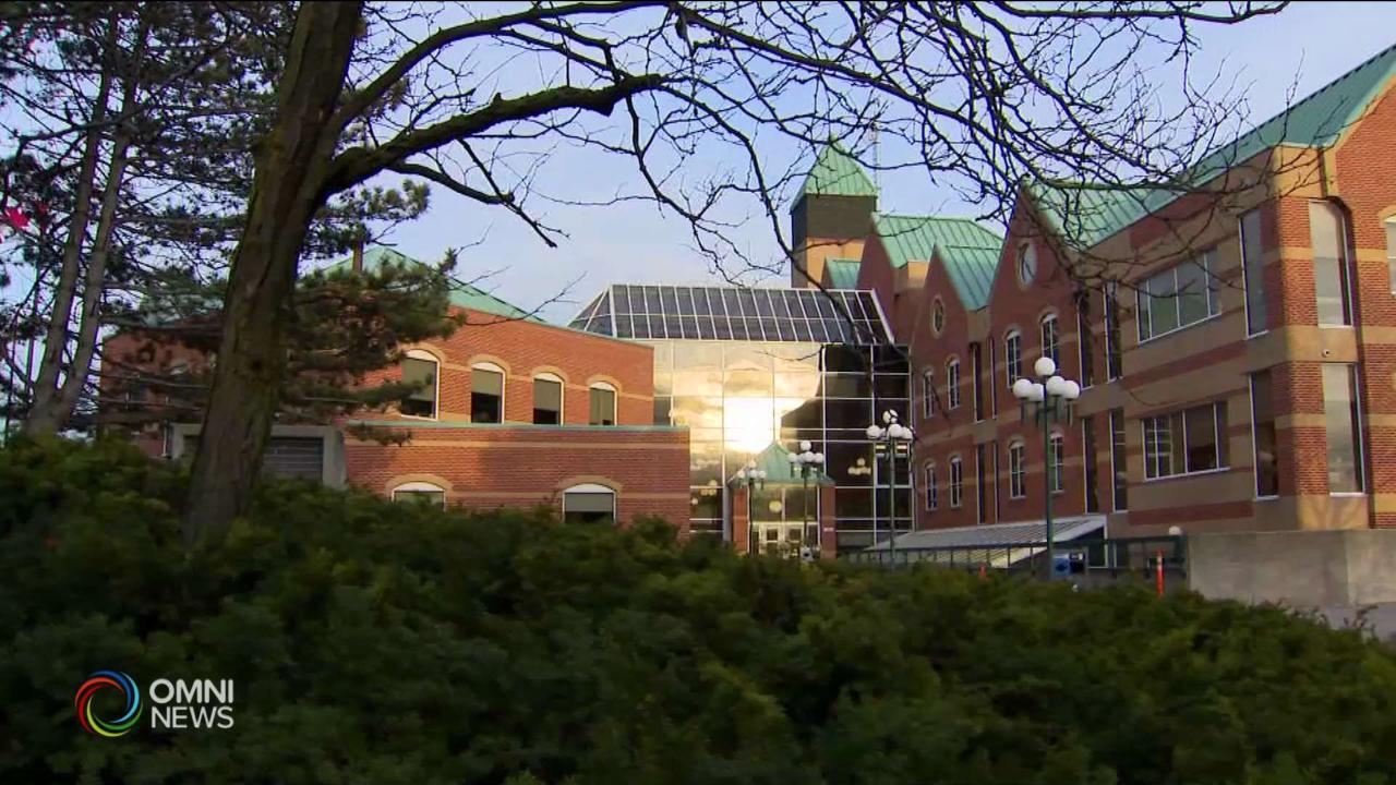 PDSB files legal action against Black-advocacy Twitter accounts