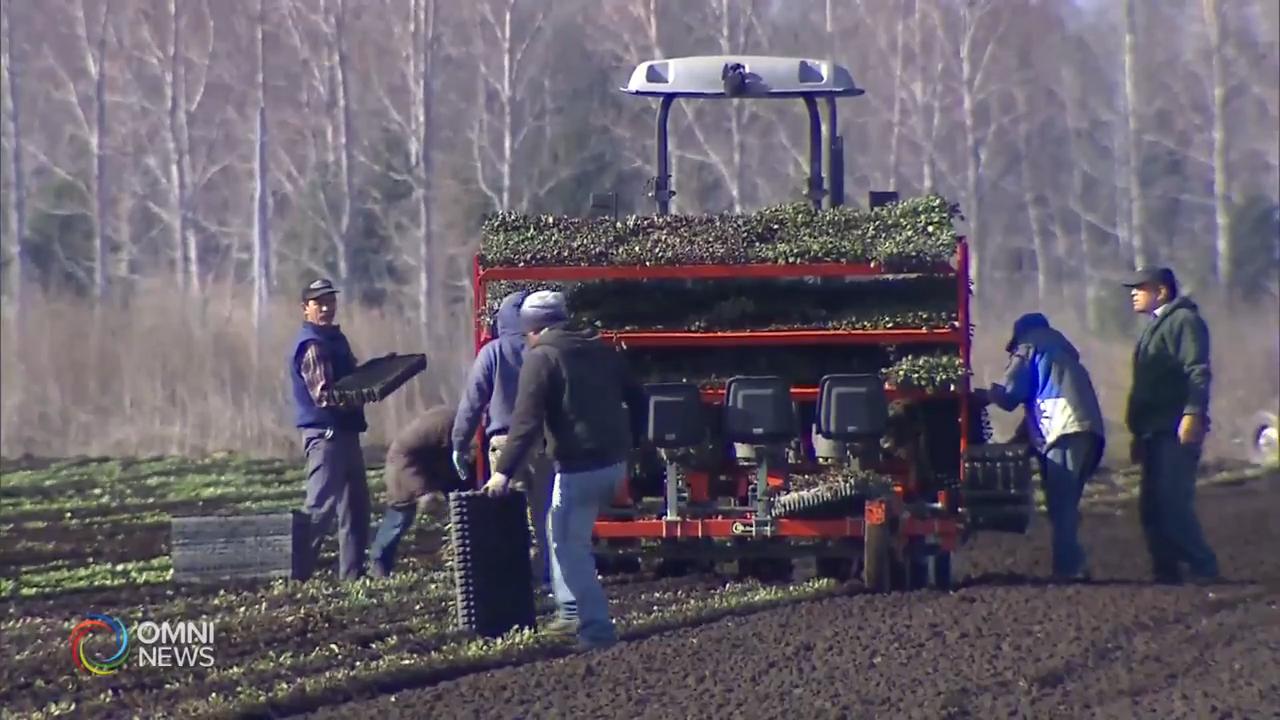 新增個案連續第4日少過2百宗 -- Jun 17, 2020 (ON)