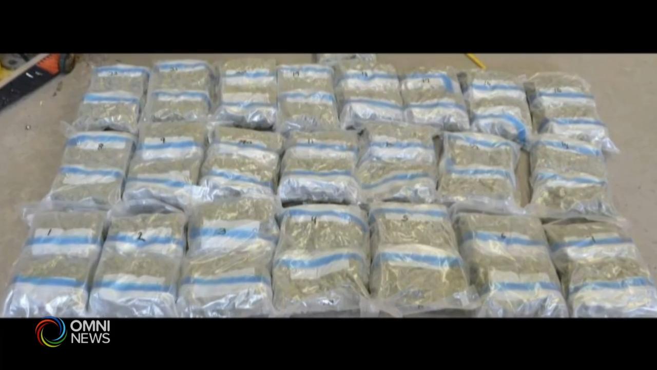 3 Punjabi men arrested in Project Cairnes