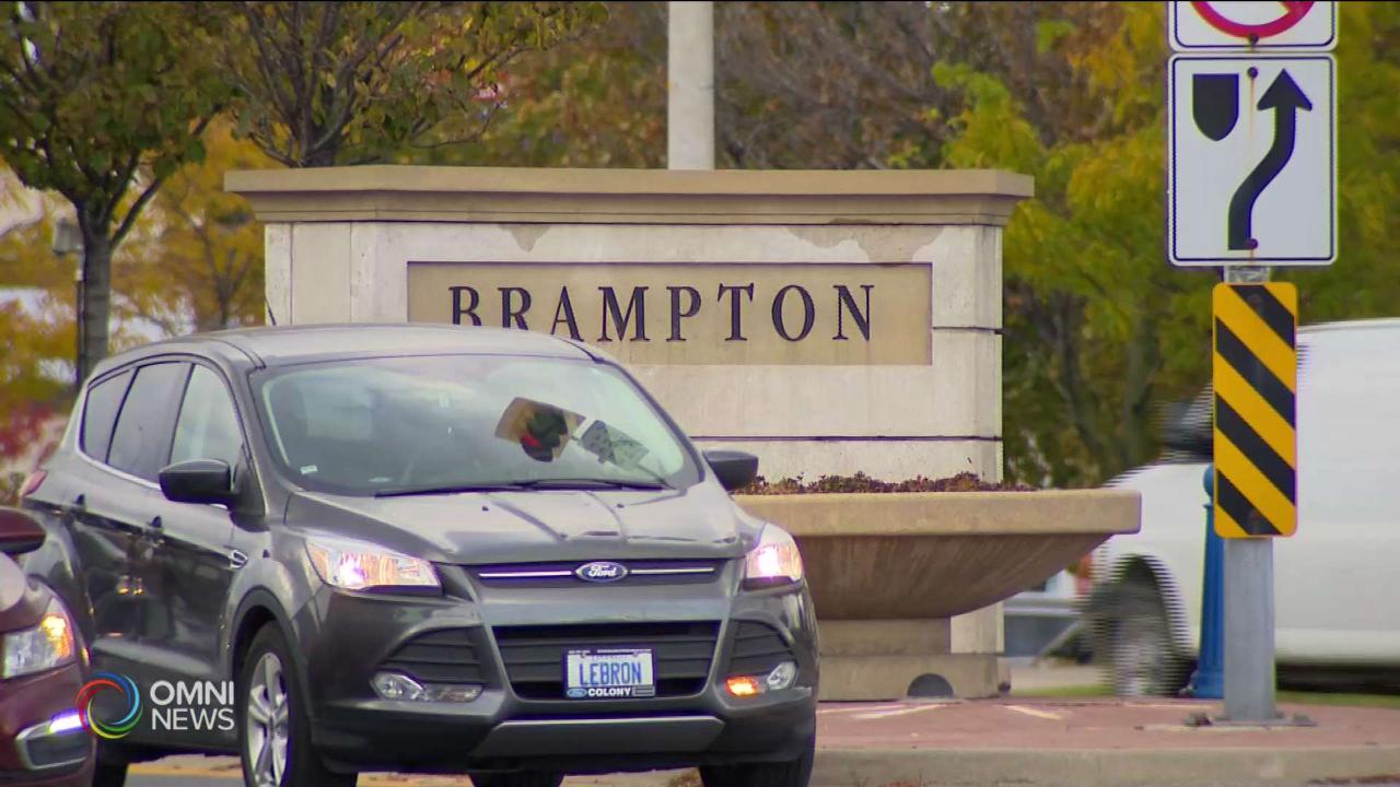 Weekly Brampton Update