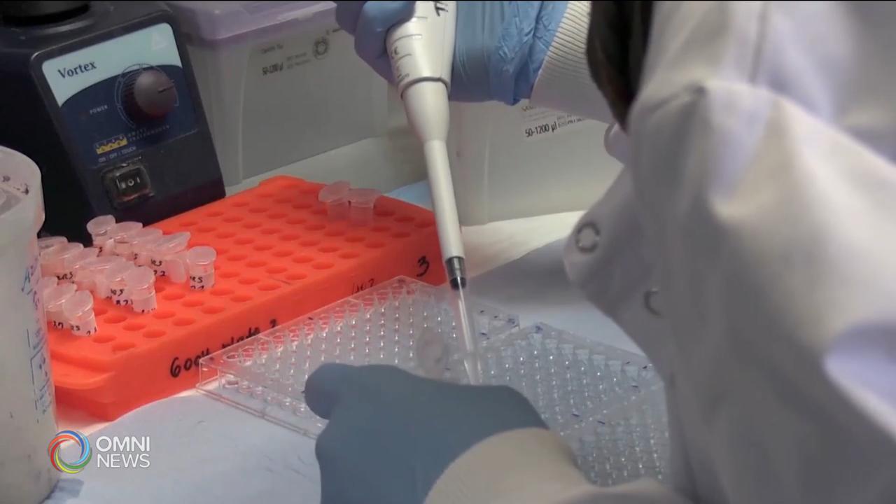 多個國家加緊研發病毒疫苗和藥物 -- July 13, 2020 (ON)