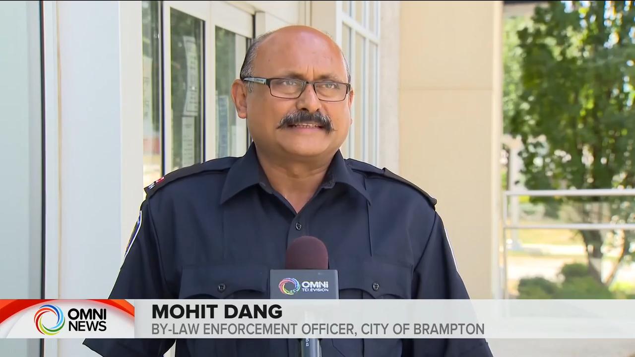 By-law officer reacts to Brampton house party