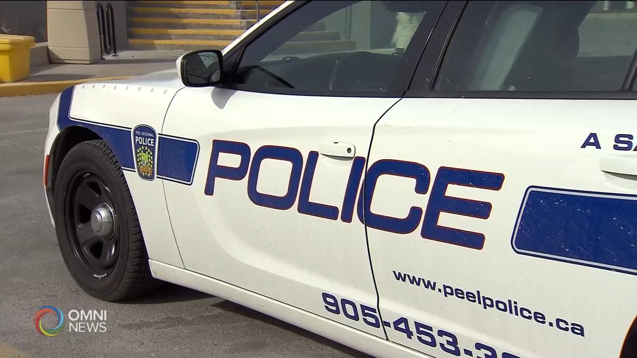 4 Punjabi men charged in car thefts