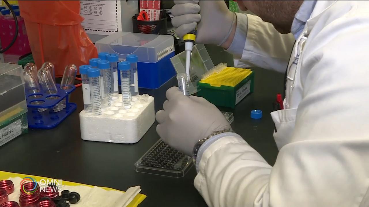 西乃山醫院抽取新冠病人血液抗體治療 -- July 17, 2020 (ON)