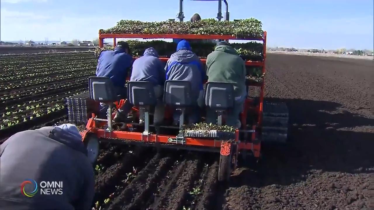 零宗新增死亡病例，3月底以来首次 -- July 06, 2020 (ON)