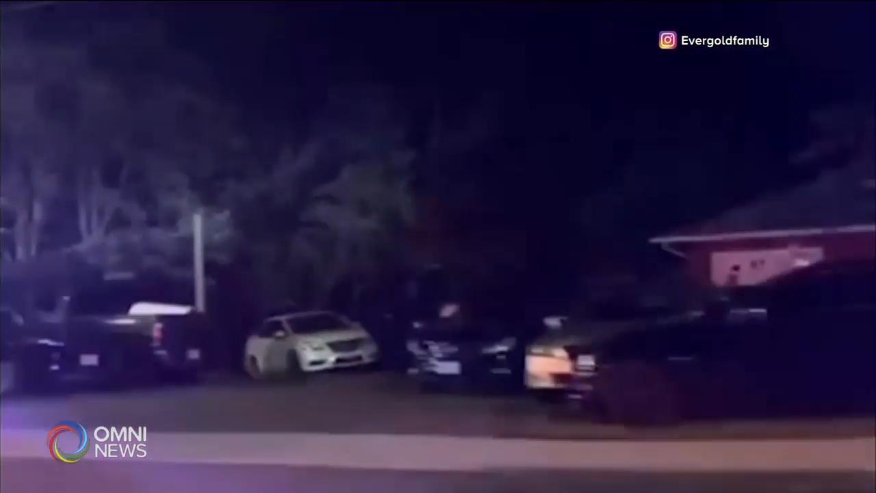 Over 200 guests at Brampton house party