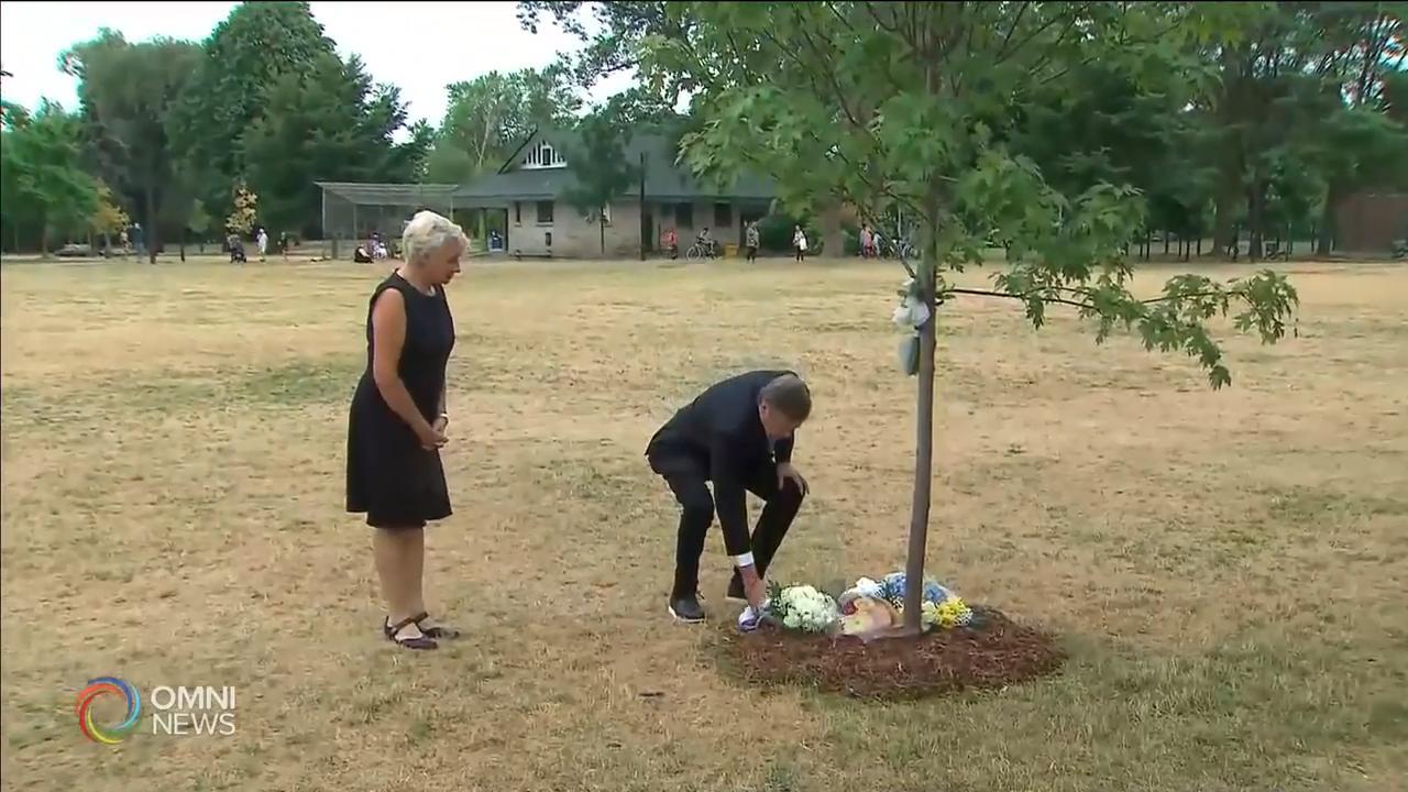 多倫多希臘區丹佛街槍擊案兩周年 -- July 22, 2020 (ON)