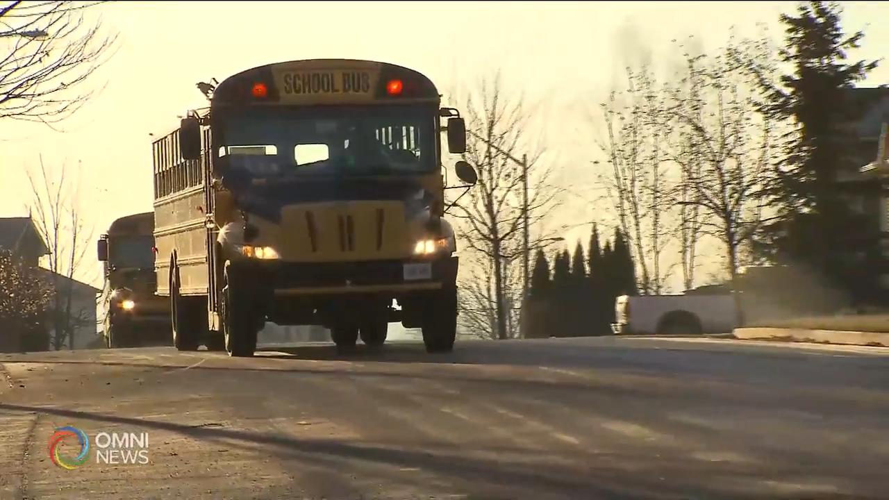 各教育局調查需要搭乘校巴人數 -- Aug 11, 2020 (ON)