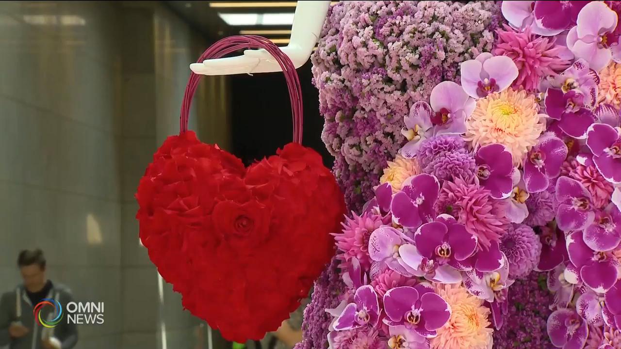 市中心Yorkville大型流動街頭花藝展 -- Aug 06, 2020 (ON)