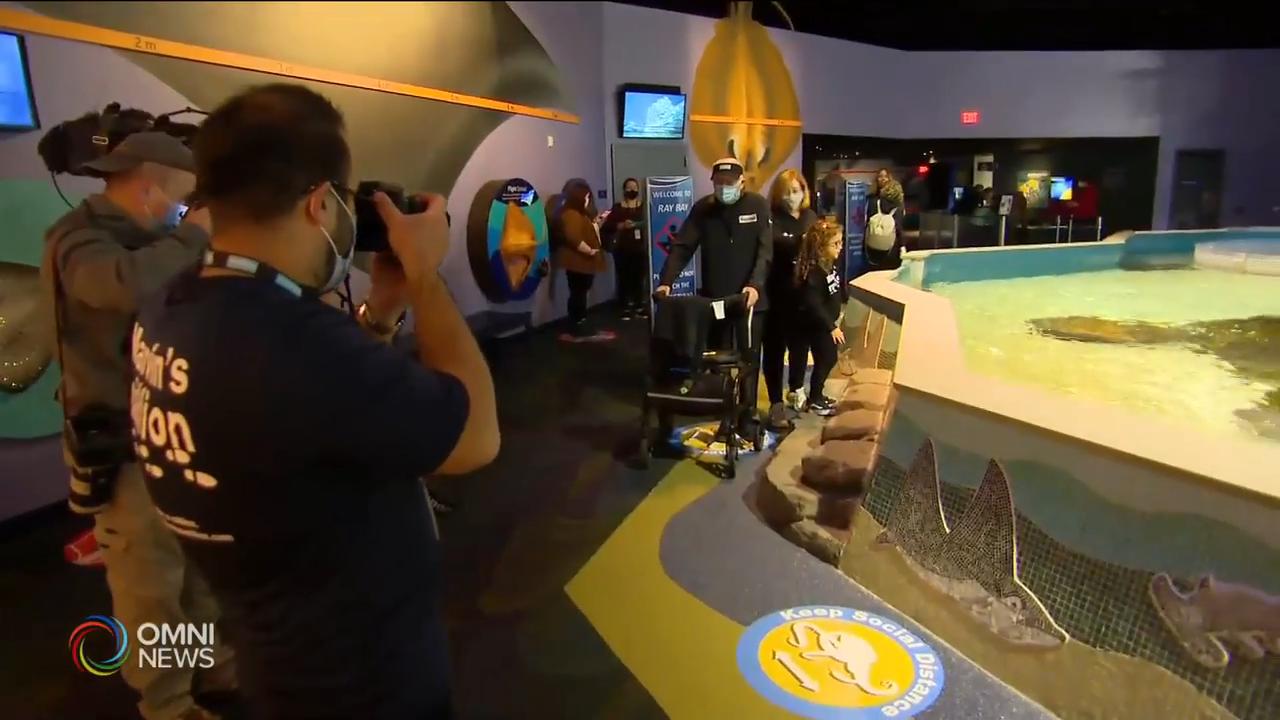 99歲老兵步行一百萬步為醫院籌款 -- Sep 22, 2020 (ON)