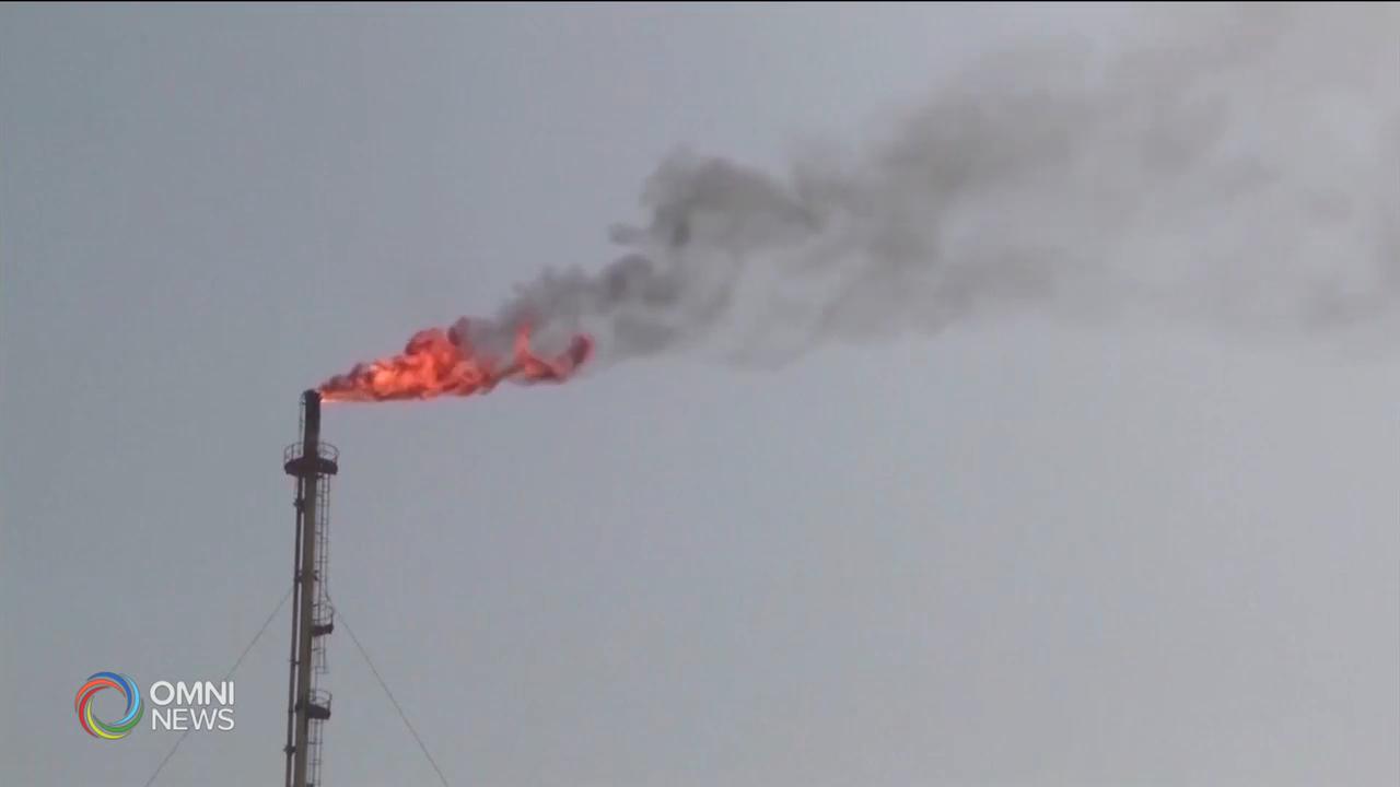 環保專家促請施政報告重視綠色經濟 -- Sep 22, 2020 (ON)