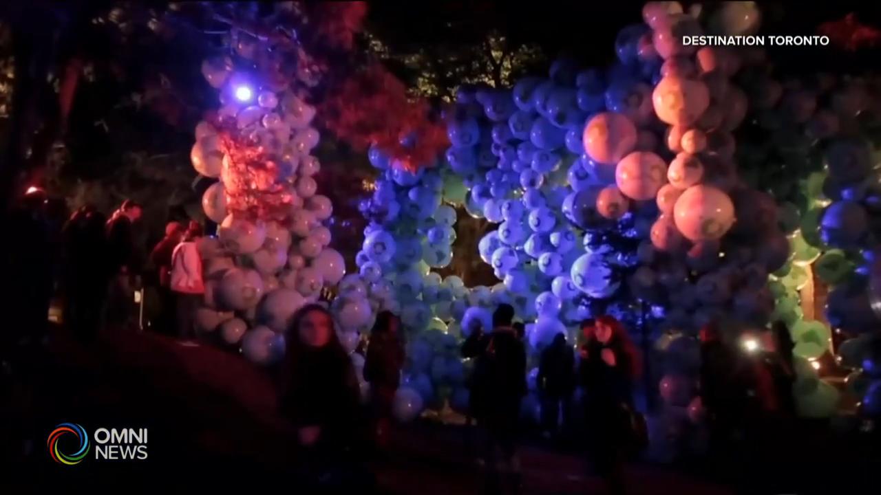 多倫多白晝之夜星期六晚網上揭幕 -- Oct 02, 2020 (ON)