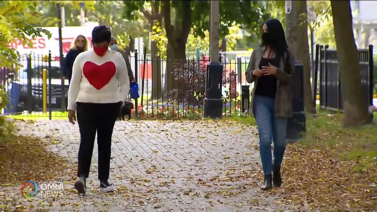 Meet the candidates running in Toronto Centre's byelection