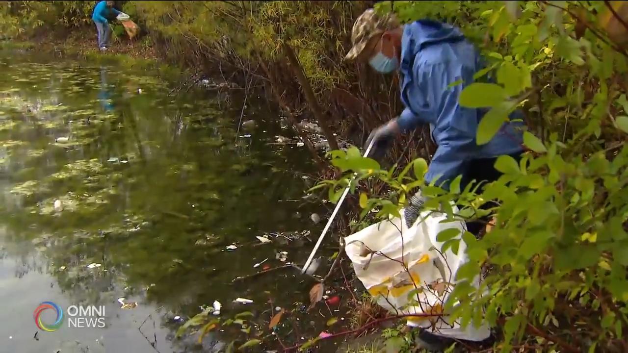 Bill Godfrey's PAL Initiative